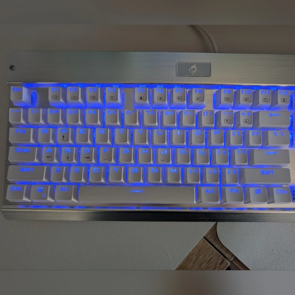 EagleTec WIRED MECHANICAL KEYBOARD Silver Metal W/ White Keycaps